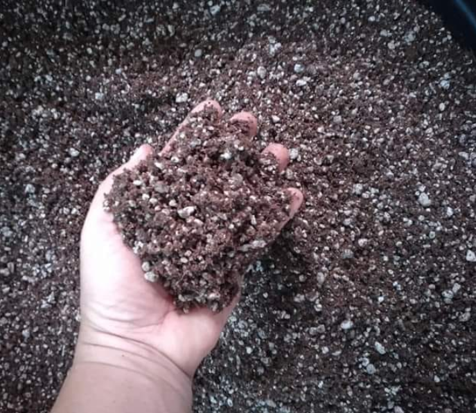 Hydrophobic potting soil