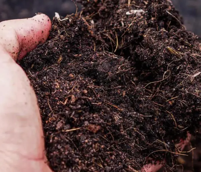 How to reuse potting soil