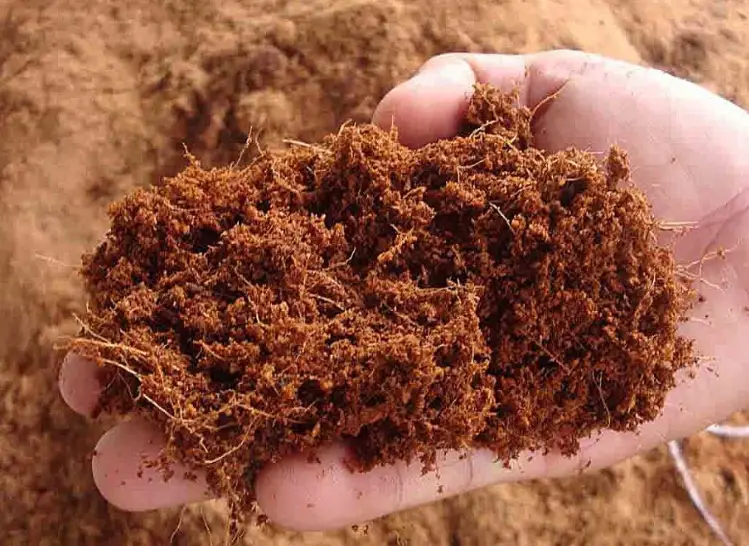 Coco coir vs peat moss