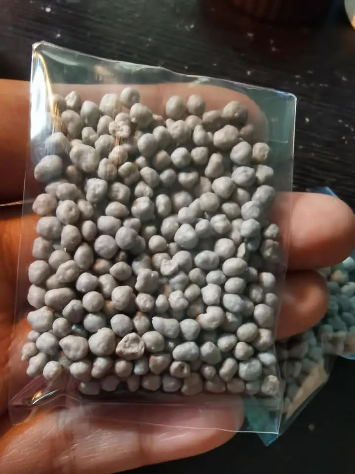 Slow release succulent fertilizer granules