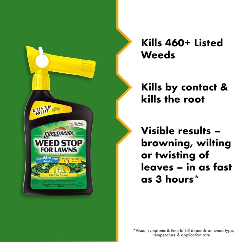 Best weed killer for lawns