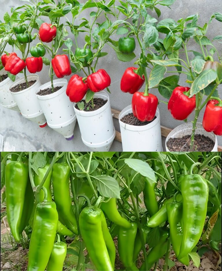 30 Deer Resistant Vegetables (With Growing Tips)