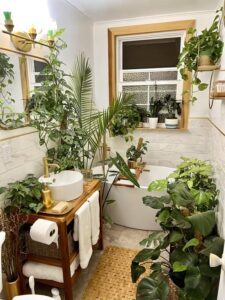 Best plants for bathroom