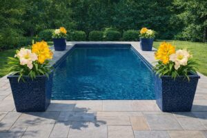 Ornamental pool plants