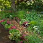 Rain Garden Plants Ideas