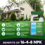 Simple Lawn Solutions Advanced 16-4-8 Balanced NPK