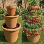 Strawberry pot ideas