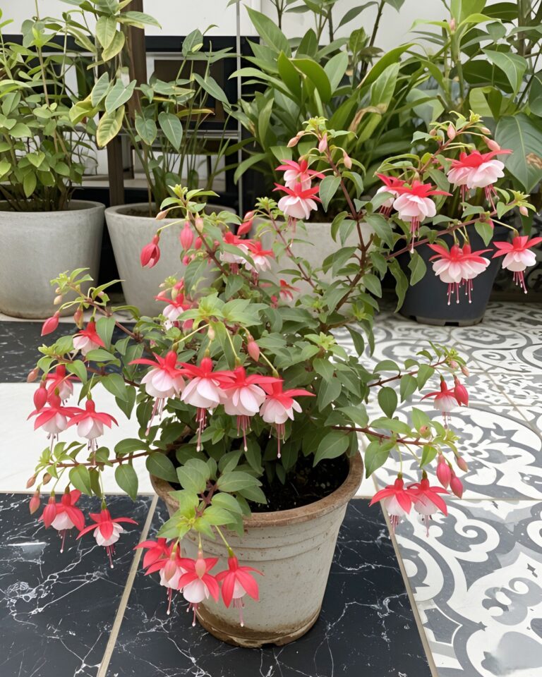 25 Flowers That Don’t Need Direct Sun (With Pictures)