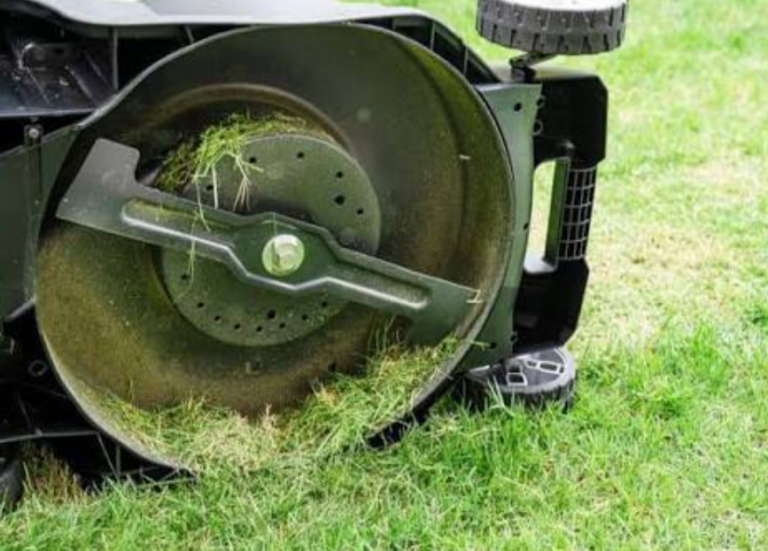 10 Types of Lawn Mower Blades (And How They Work)